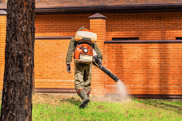 Bed Bug Clearance Verification and Documentation in Hamburg